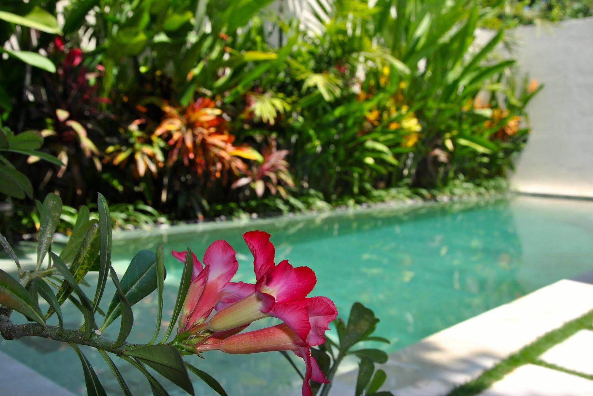Villa Bali Asri Batubelig Seminyak Kültér fotó